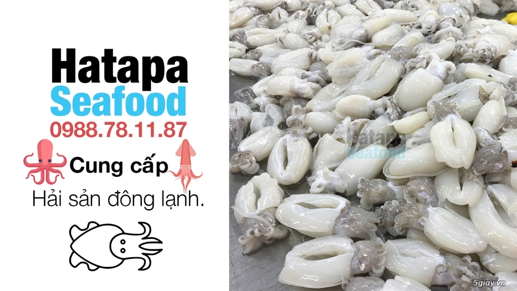 Cung cấp hải sản giá rẻ nhất Việt Nam, hải sản tươi & khô, đông lạnh nguyên chất từ vựa hải sản. - 3