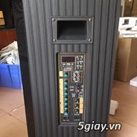 Loa kéo BNIB 1596 Bass 40 tặng 2 micro - 3