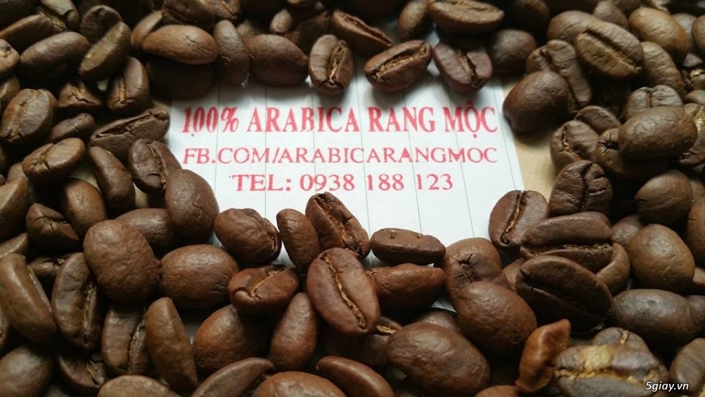 Cafe Arabica Rang Mộc Giao Hạt Hoặc Xay Sẵn Gía Tốt