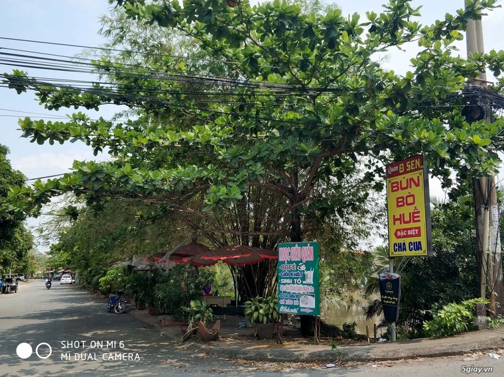 Cần sang gấp 143m2 đất thổ cư Phước Long B, Quận 9, giá 8 tỷ - 4