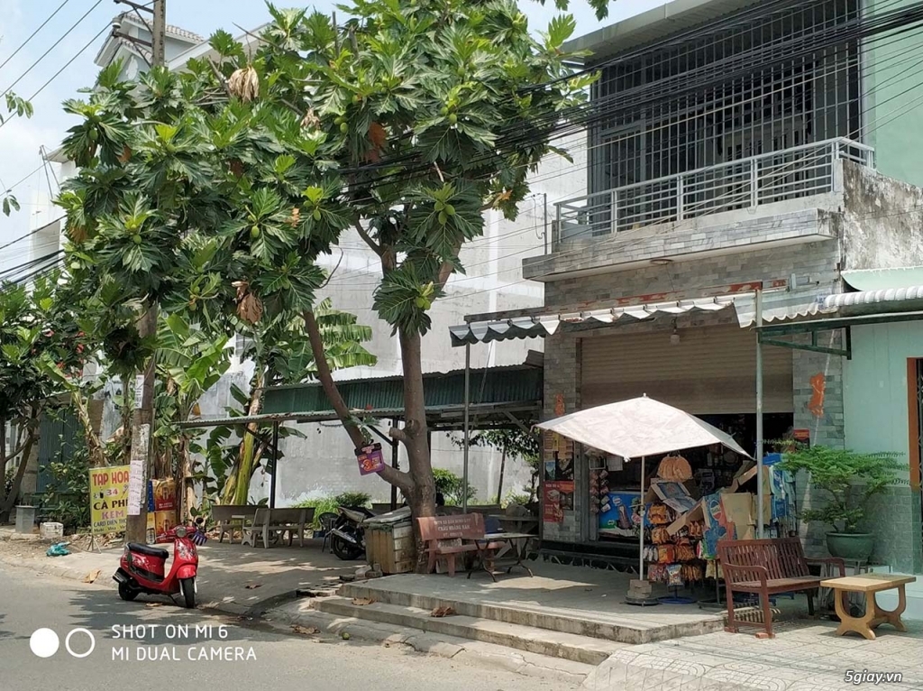 Cần sang gấp 143m2 đất thổ cư Phước Long B, Quận 9, giá 8 tỷ - 3