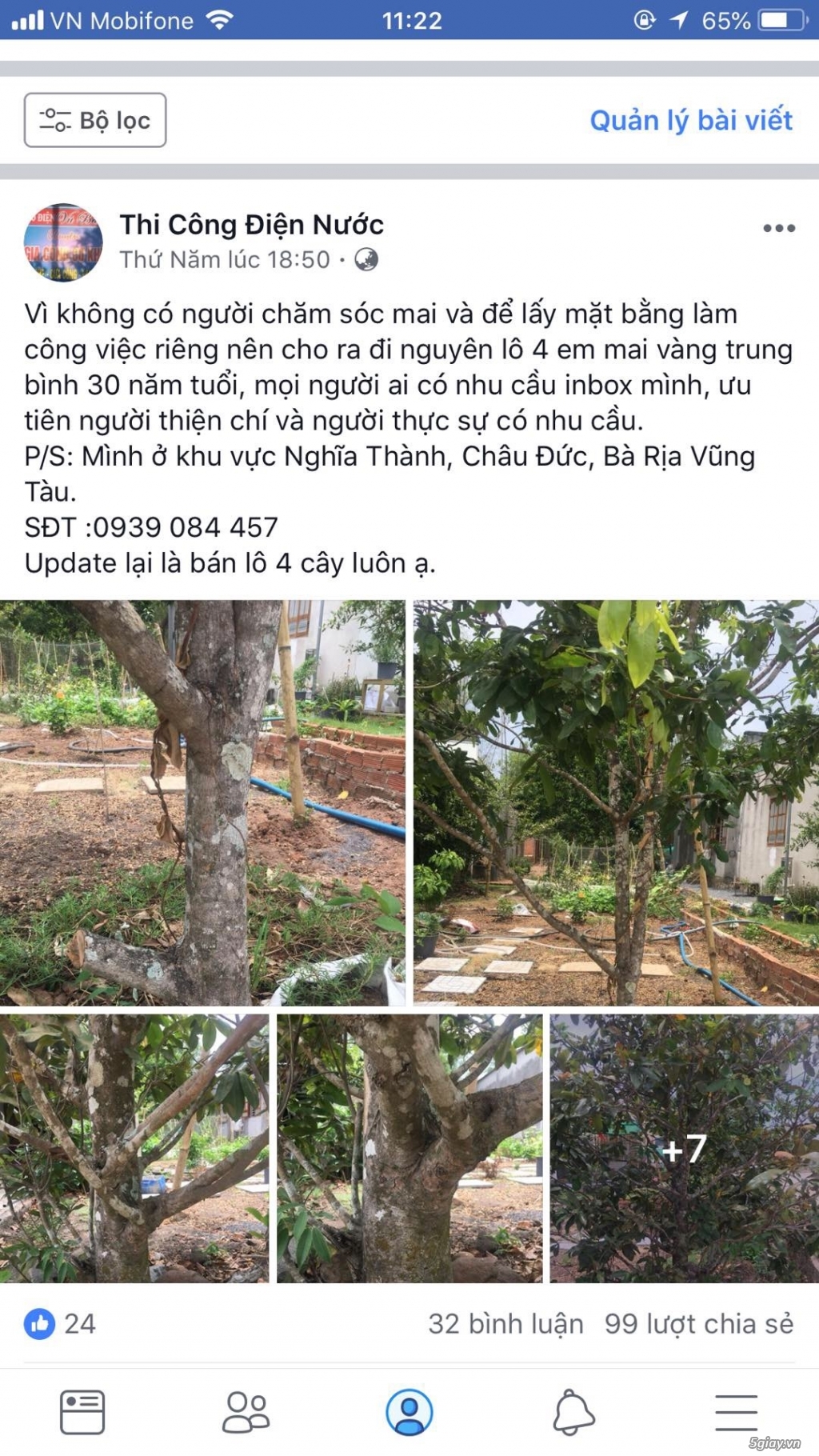 Bán gấp 4 cây mai