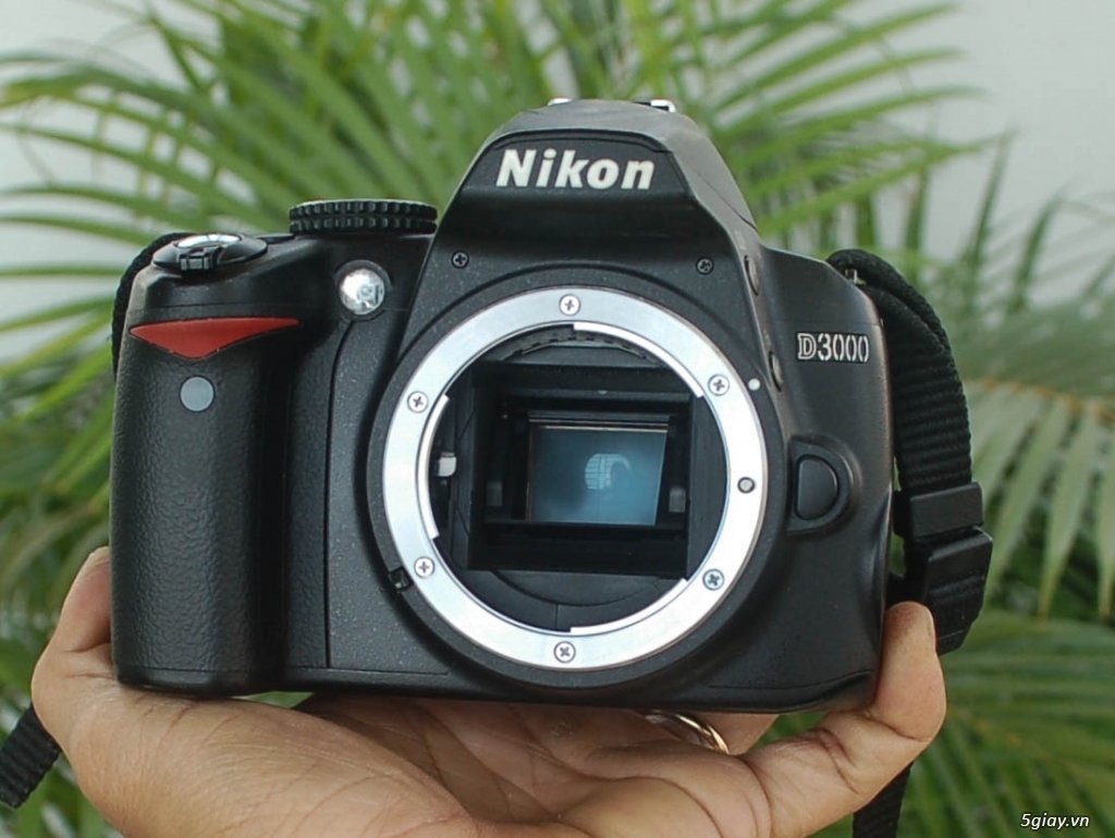 Body Nikon D3000 – 50mm f1.8D – 18-105mm VR - 8