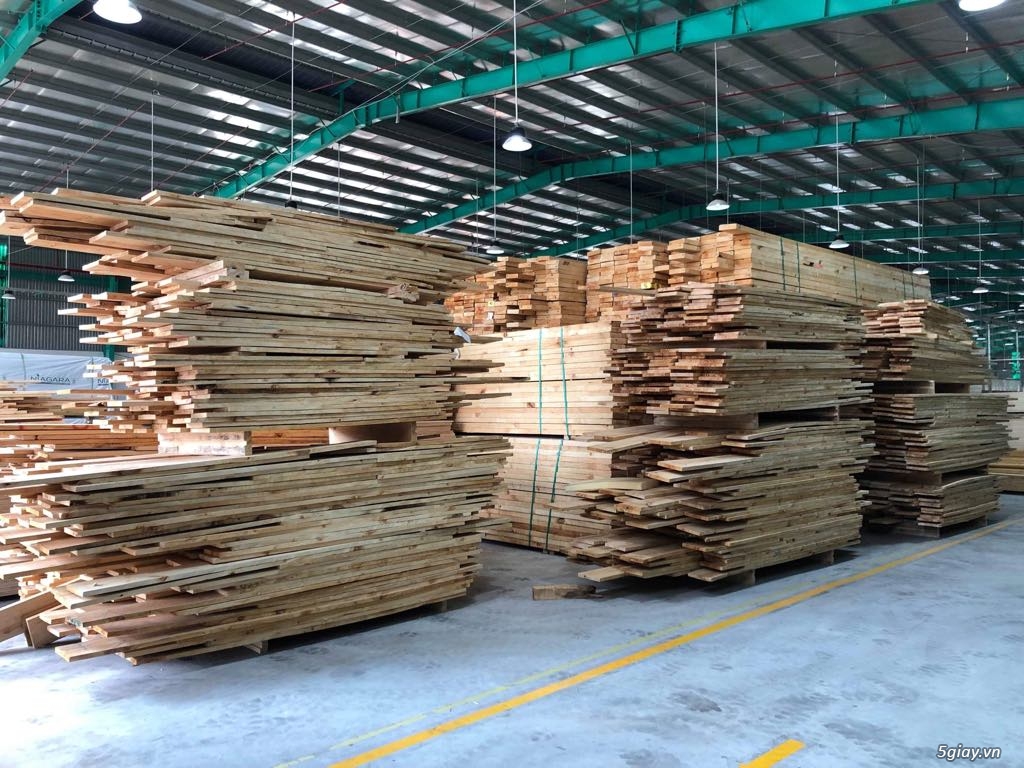 gỗ thông nhập- 5.5tr/m3 hàng có nhiều