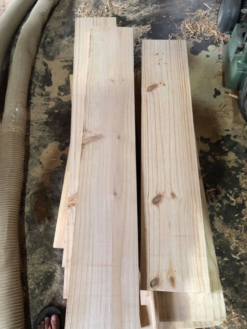 gỗ thông nhập- 5.5tr/m3 hàng có nhiều - 1