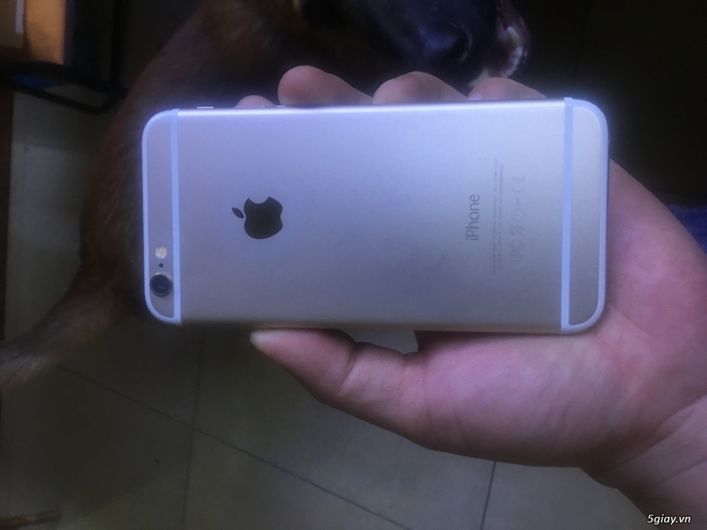 Ip6 64g qte màu gold!!! - 2