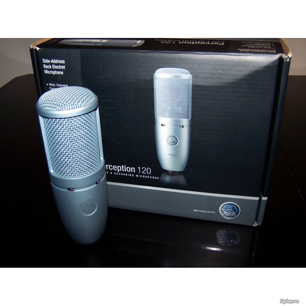 Microphone AKG Perception 120 P120
