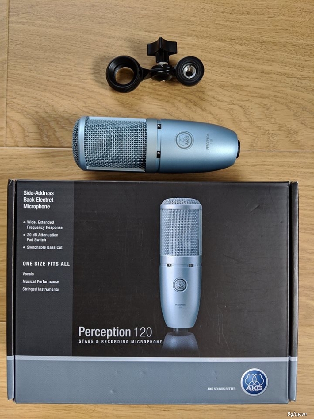 Microphone AKG Perception 120 P120 - 2