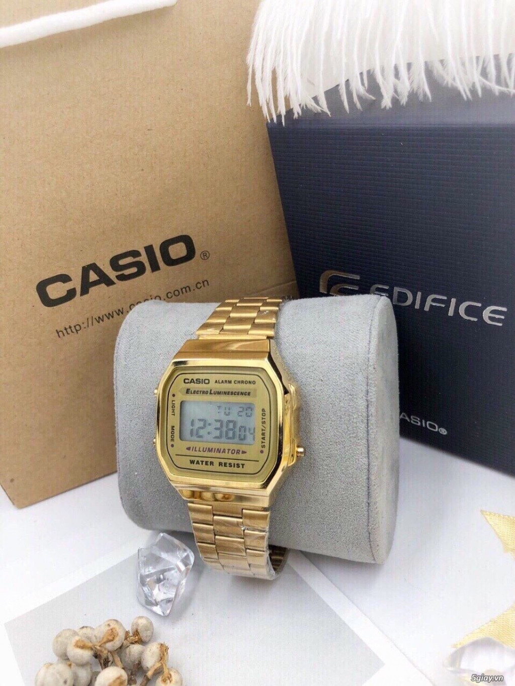 Casio điện tử - 1