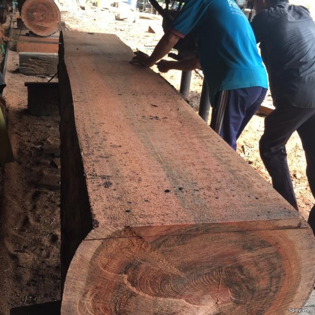 xưởng gỗ chuyên sản xuất các loại gỗ xẻ theo yêu cầu