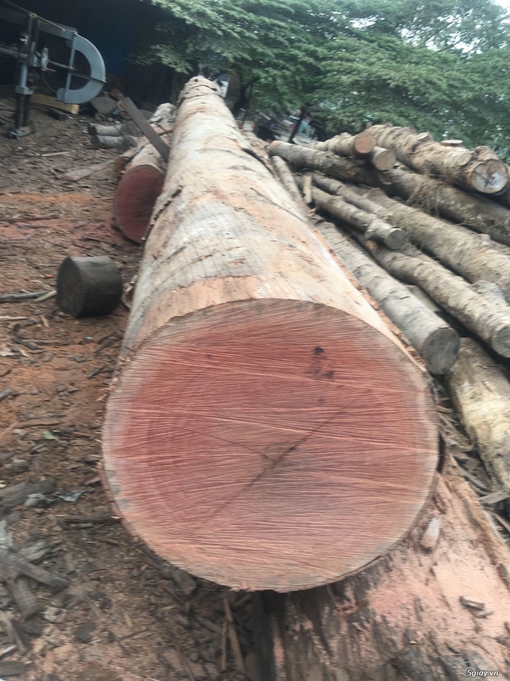 xưởng gỗ chuyên sản xuất các loại gỗ xẻ theo yêu cầu - 1