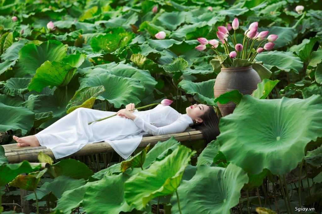 Sốt khỏa thân chụp bên hoa sen, ai đã tỏa sáng thật sự?