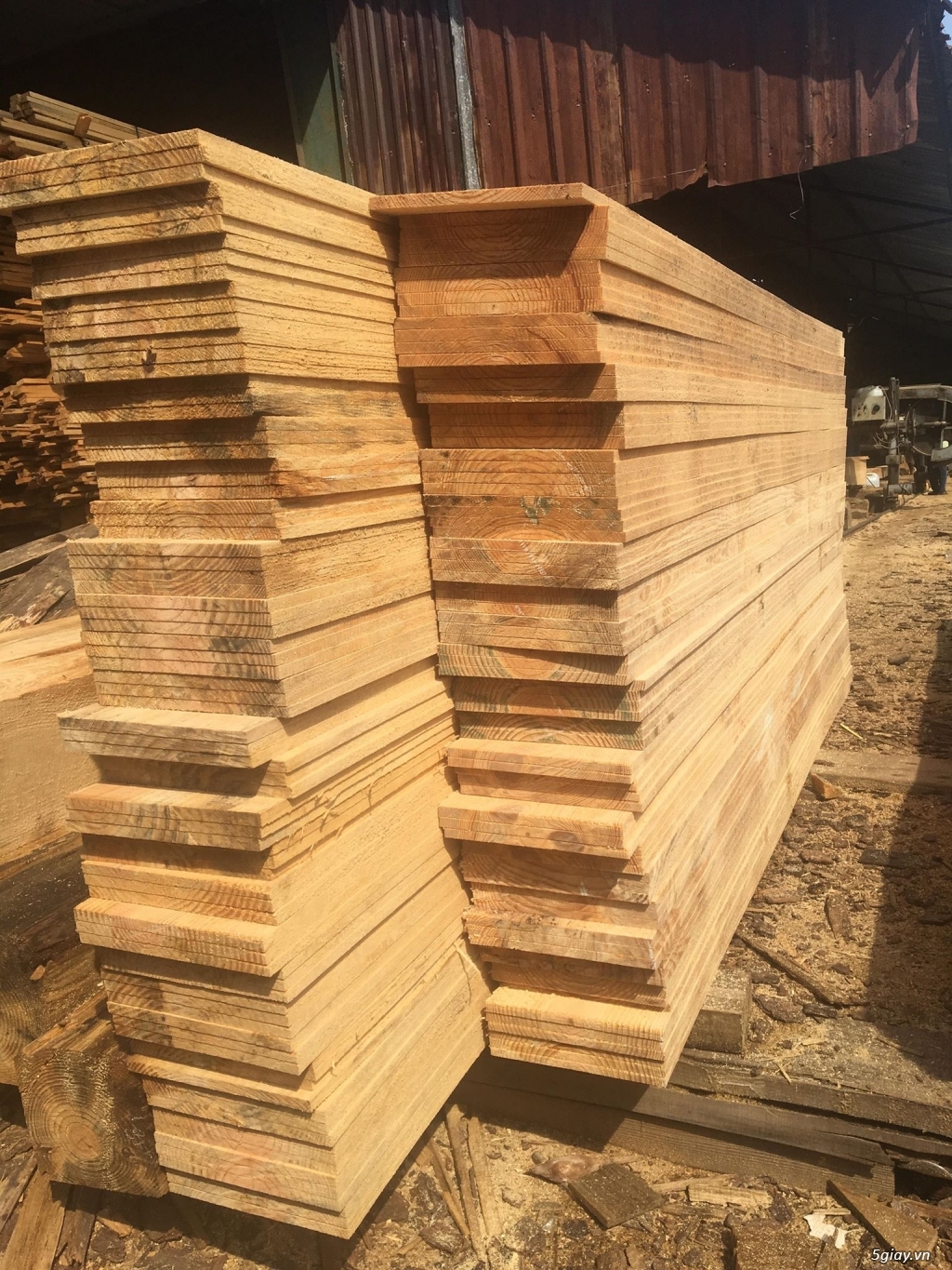 xưởng gỗ chuyên sản xuất các loại gỗ xẻ theo yêu cầu - 3