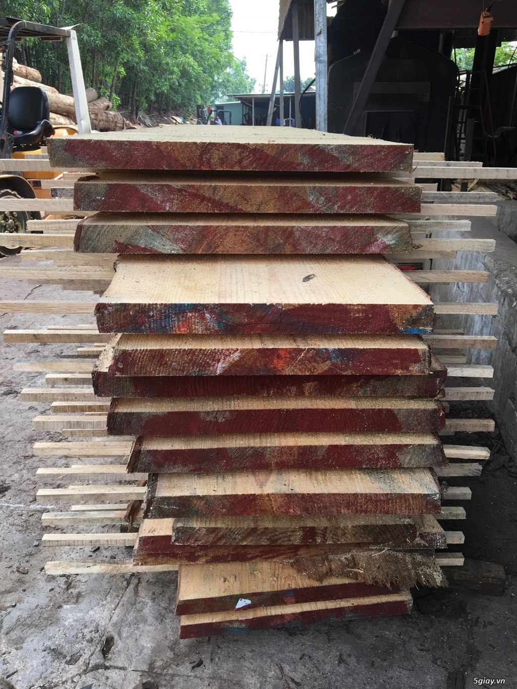 xưởng gỗ chuyên sản xuất các loại gỗ xẻ theo yêu cầu - 4