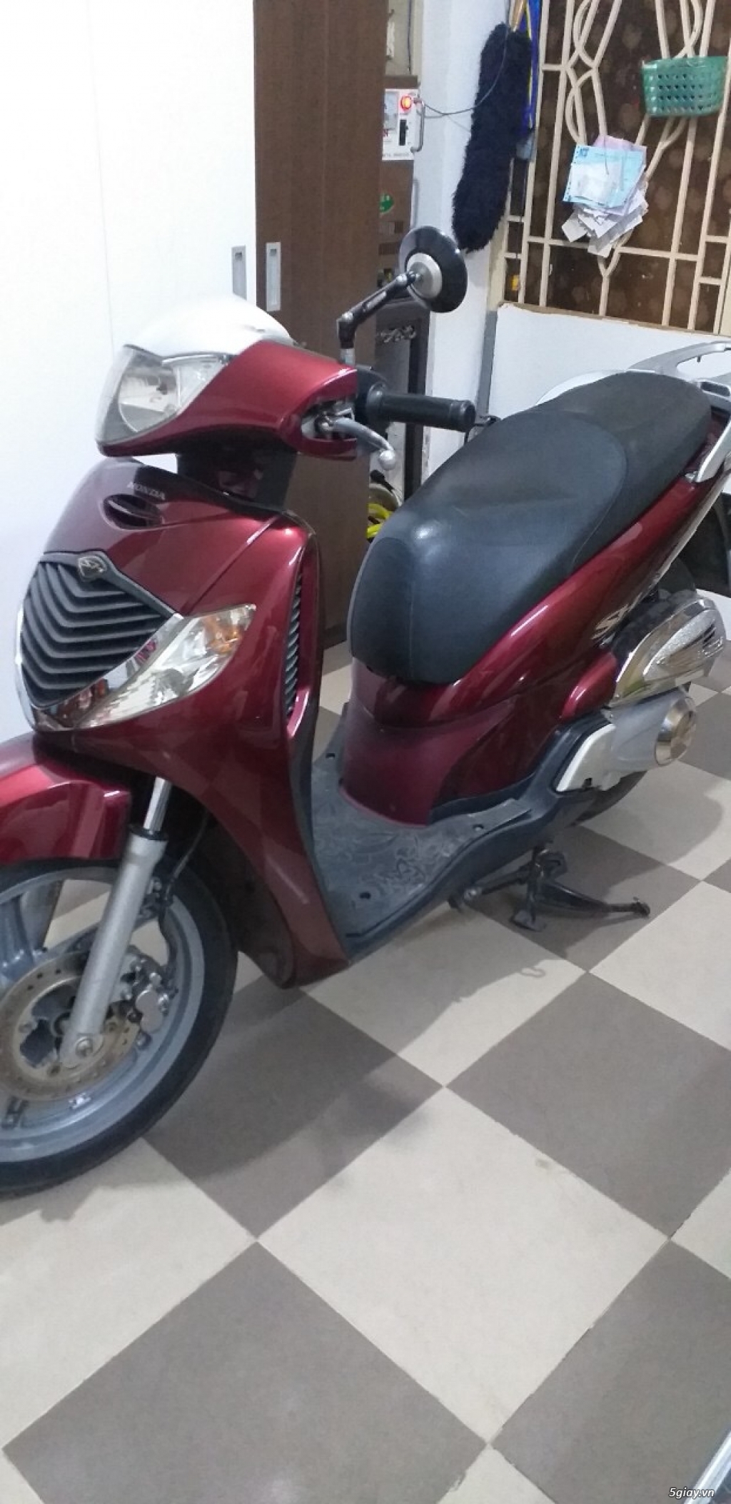 Sh Ý Zin từ A -->Z đời 2006 - 2