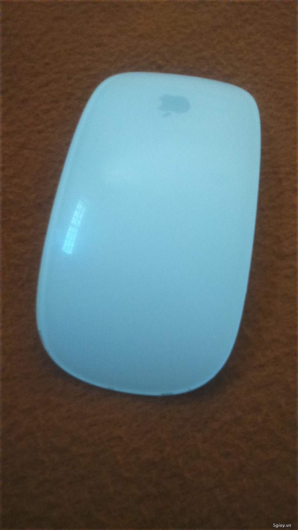 Apple Magic Mouse.E 23h00 15/06/19
