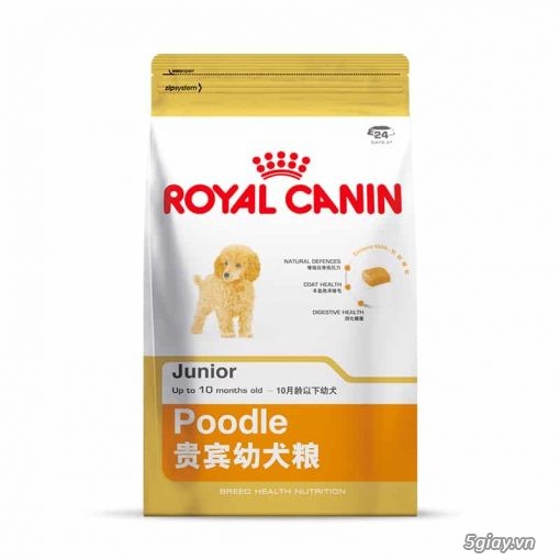 Royal Canin Poodle Junior Thức ăn cho chó Royal Can