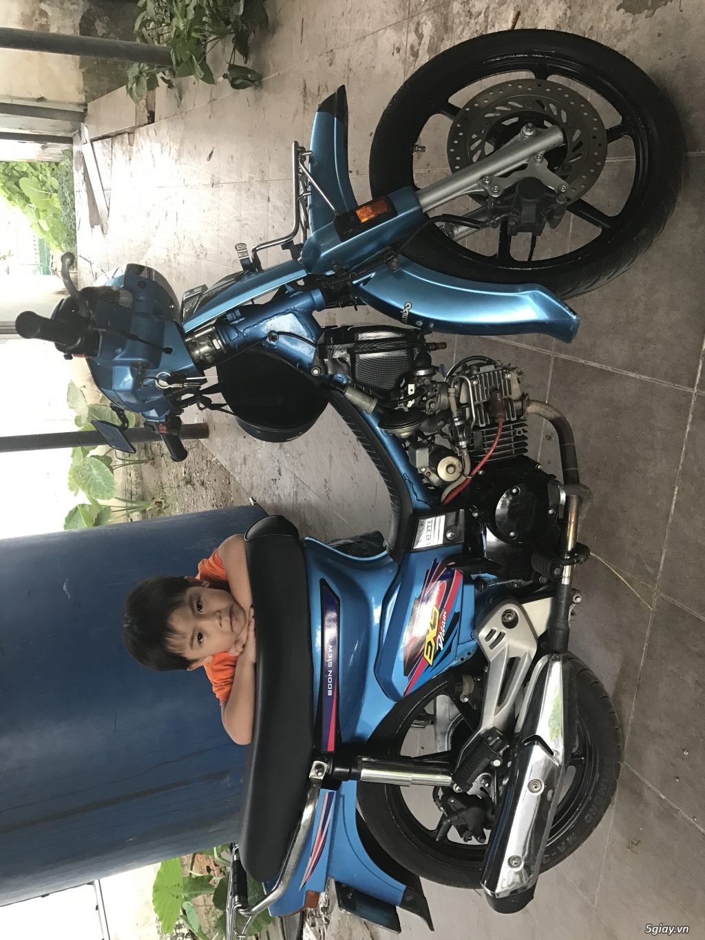 Dream thái kiểng full - 1