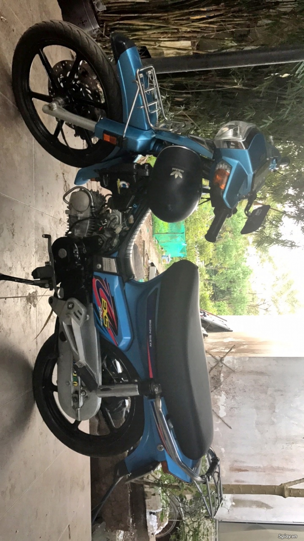 Dream thái kiểng full