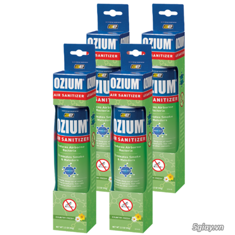 Giải pháp bảo vệ mẹ bầu hỏi các những cơn ốm nghén vì mùi_Ozium