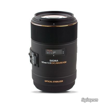 Cần mua Tamron 90f2.8 hoặc Sigma 105f2.8 for Canon ( giá thoả thuận ) - 1