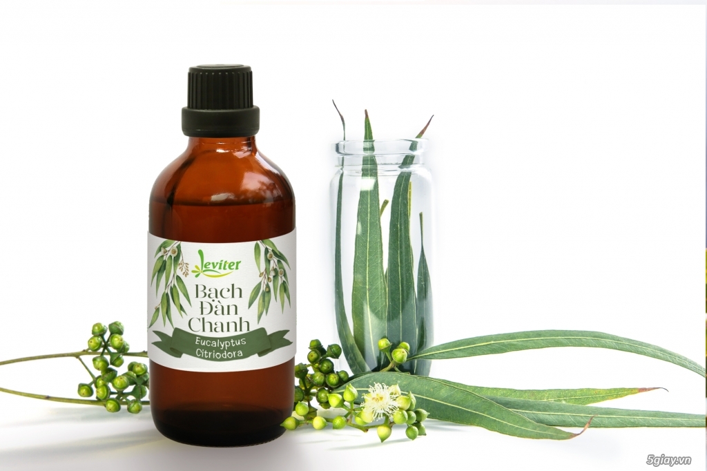 Leviter.vn Tinh dầu Thiên nhiên - 5