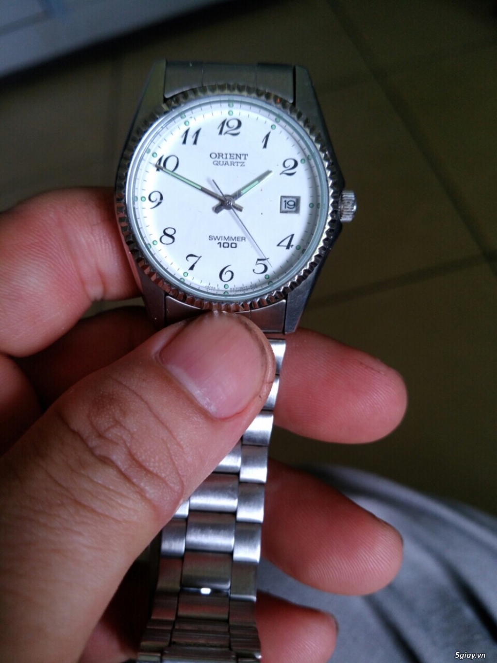 Đồng hồ Orient Cá Heo. - 1