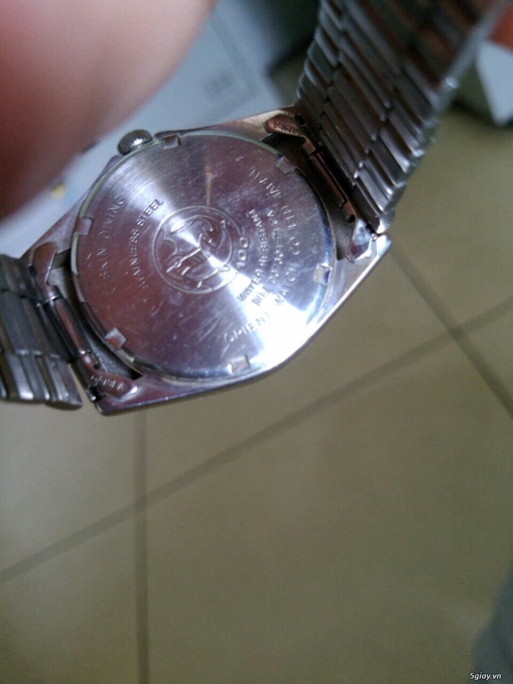 Đồng hồ Orient Cá Heo.