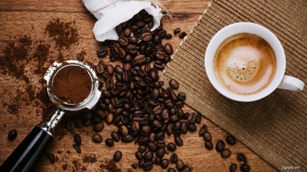 Cung cấp cà phê Arabica nguyên chất giá sỉ tại TP.HCM