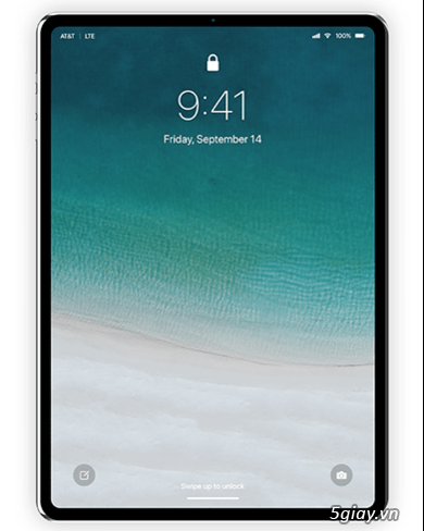 Ipad pro 12.9 hạt dẻ - 1