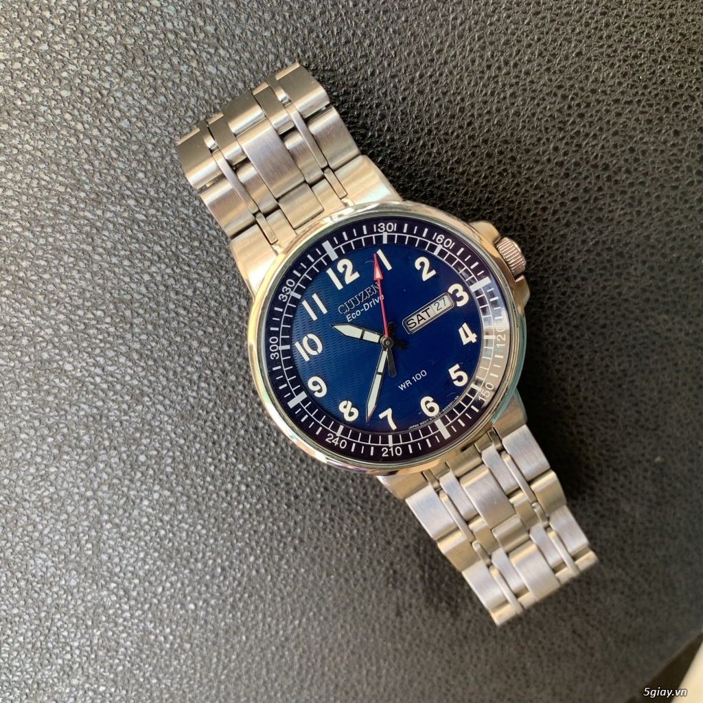 citizen eco drive e100