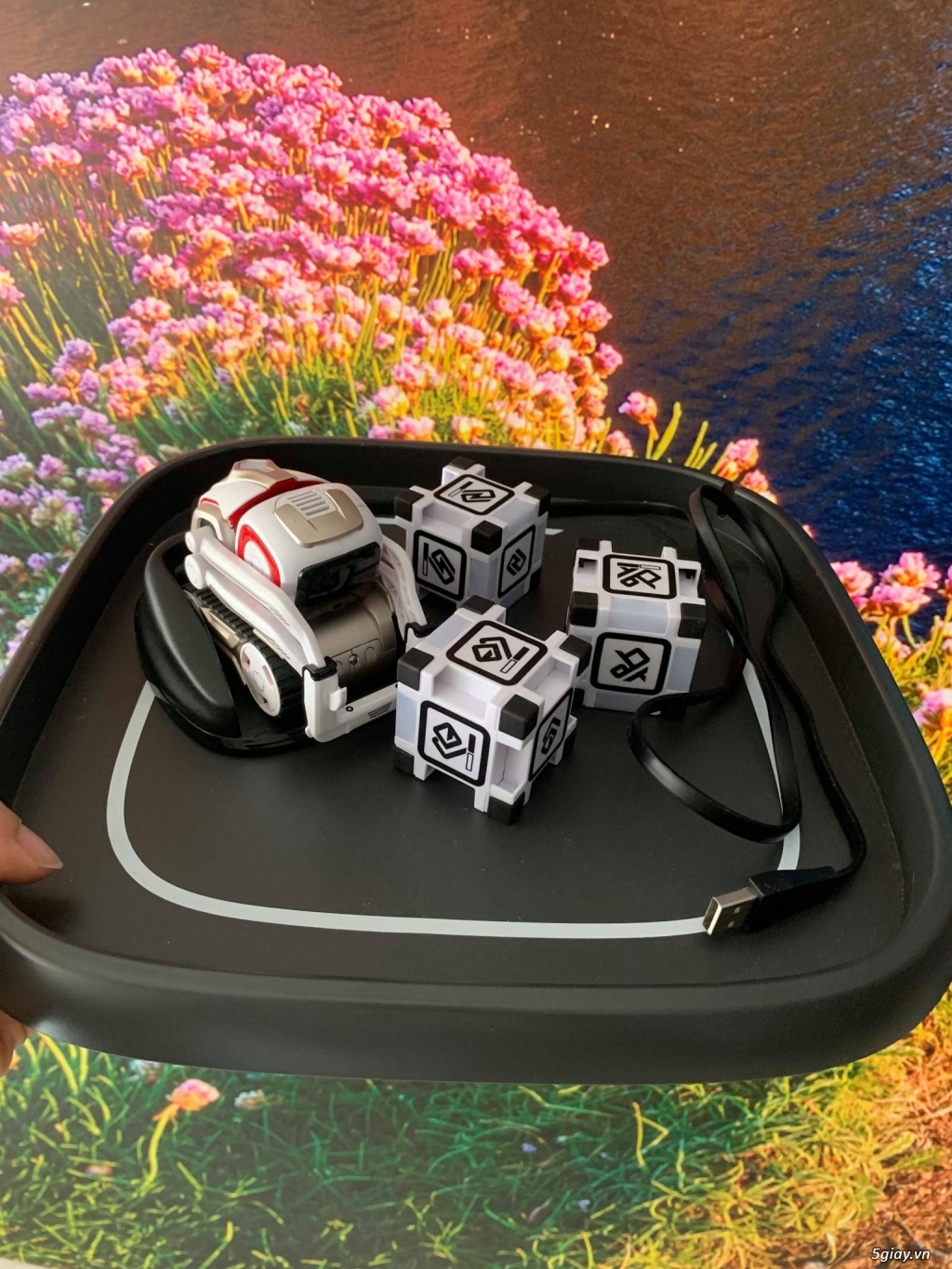 Robot Cozmo | 5giay