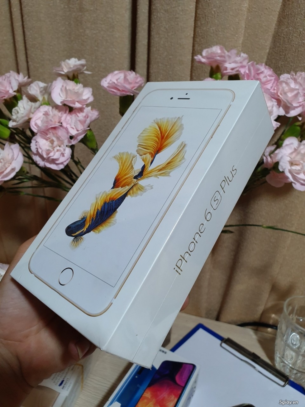 Iphone 6s plus 32G gold vn/a Việt Nam nguyên seal