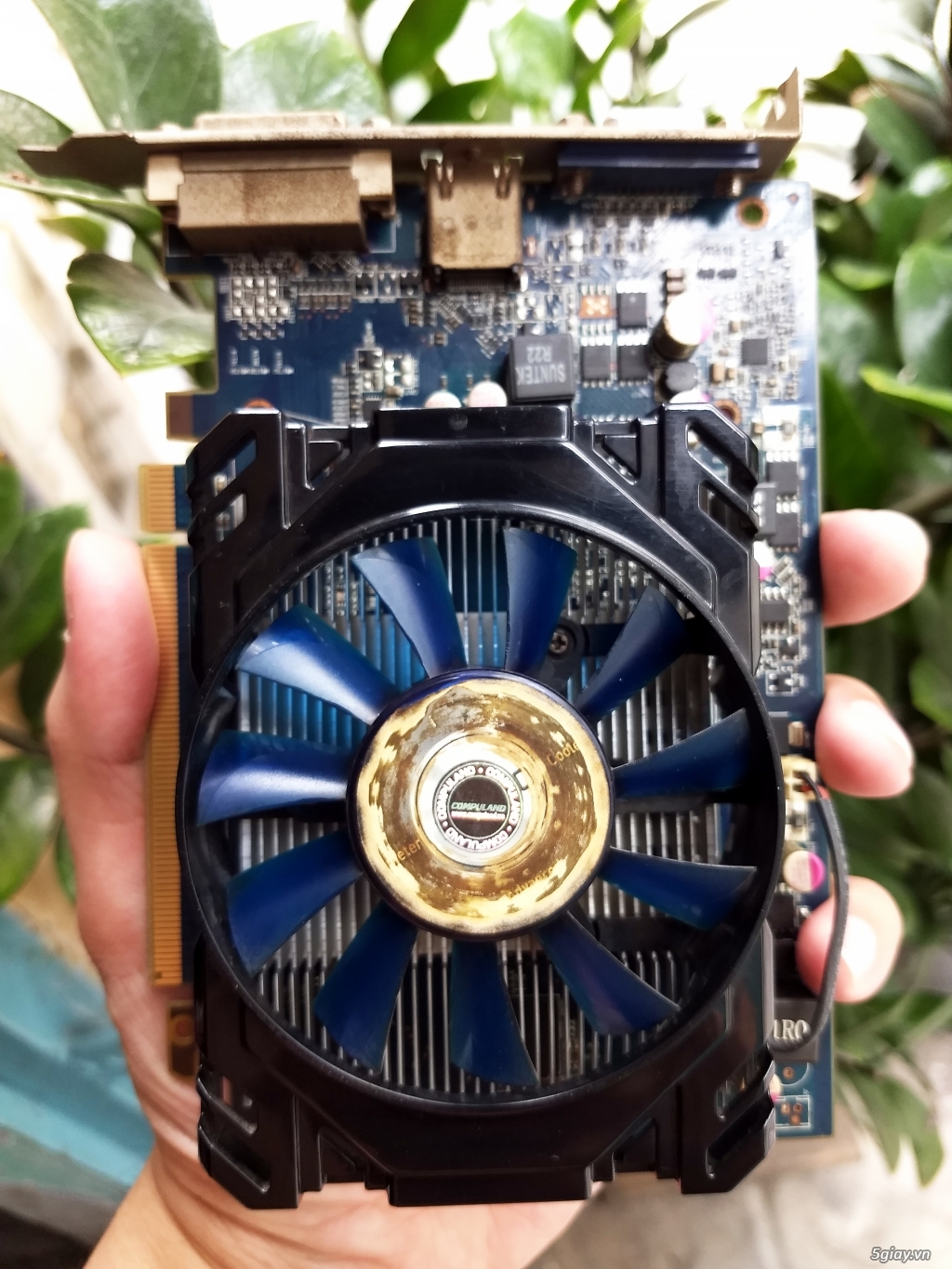 Combo mainboard phục vụ văn phòng, photoshop và game nhẹ: - 1