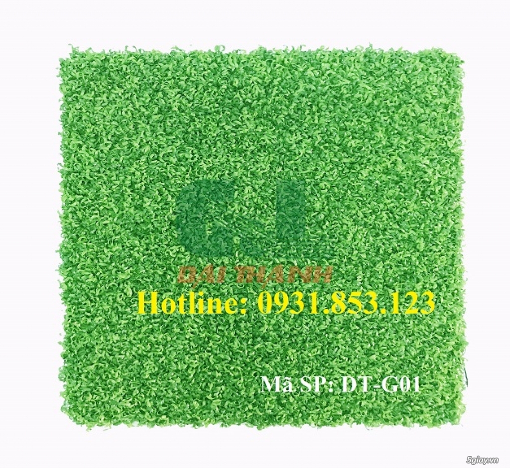 ĐT-G01 và ĐT-G02 là 2 loại cỏ tốt nhất cho sân tập Golf