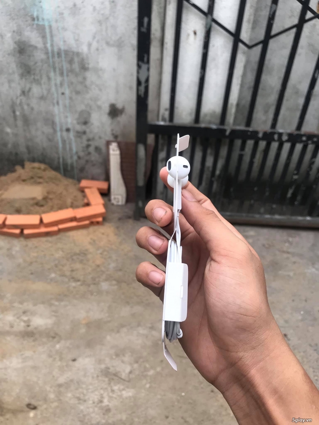 Bán Cóc Cáp Apple Quận 7 - 4