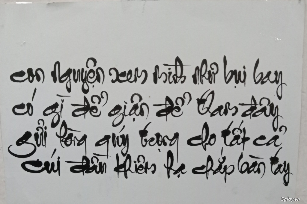 Yaourt sửa tươi - Sửa đậu nành nấu (Tân Phú )