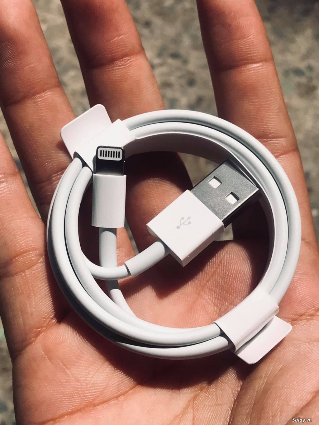 Bán Cóc Cáp Apple Quận 7 - 1