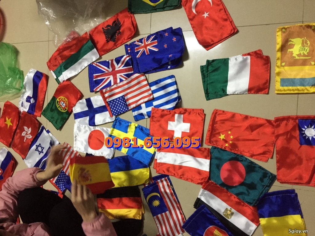 in cờ cầm tay - 1