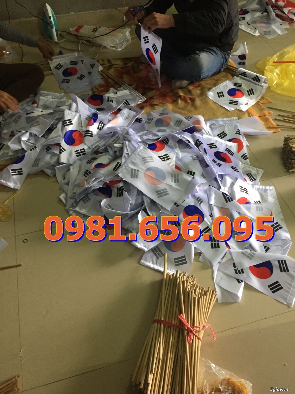 in cờ cầm tay - 2