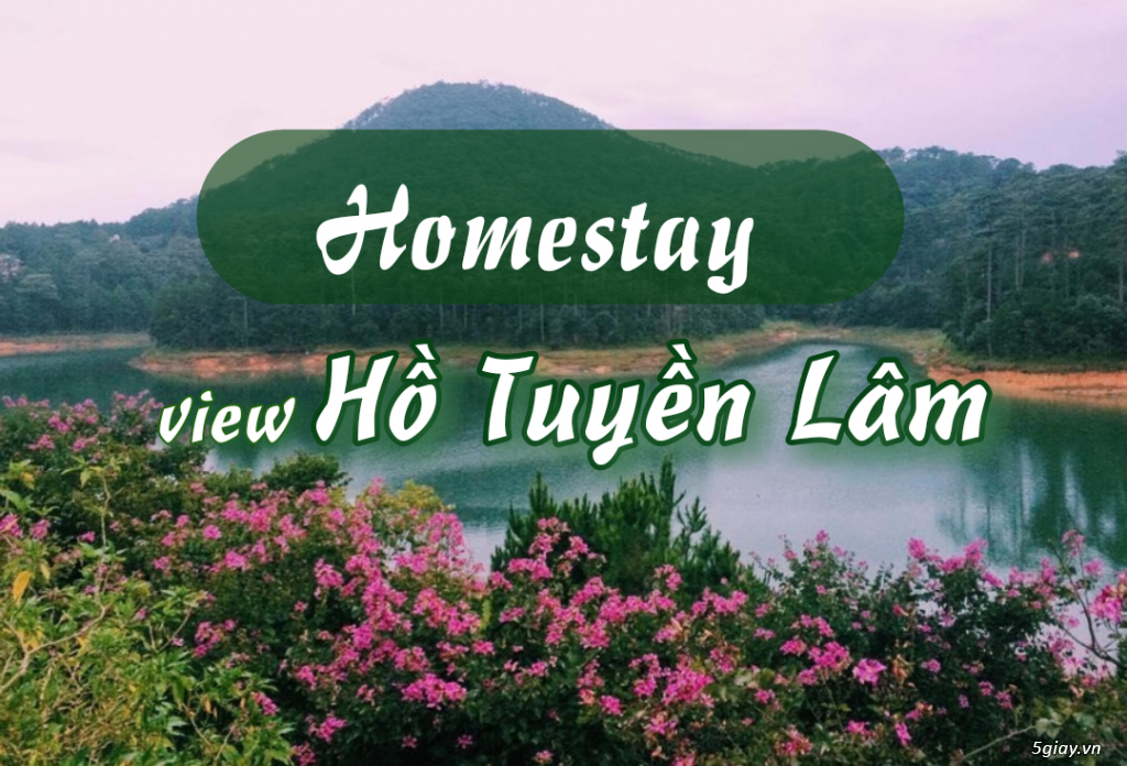 Ghé thăm 5 homestay có view Hồ Tuyền Lâm “đẹp chất ngất” - 1