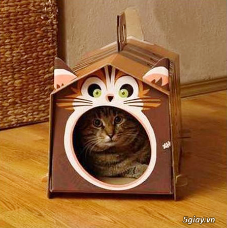 Nhà cho thú cưng (mèo, cún con) bằng giấy Carton lắp ghép độc đáo - 6