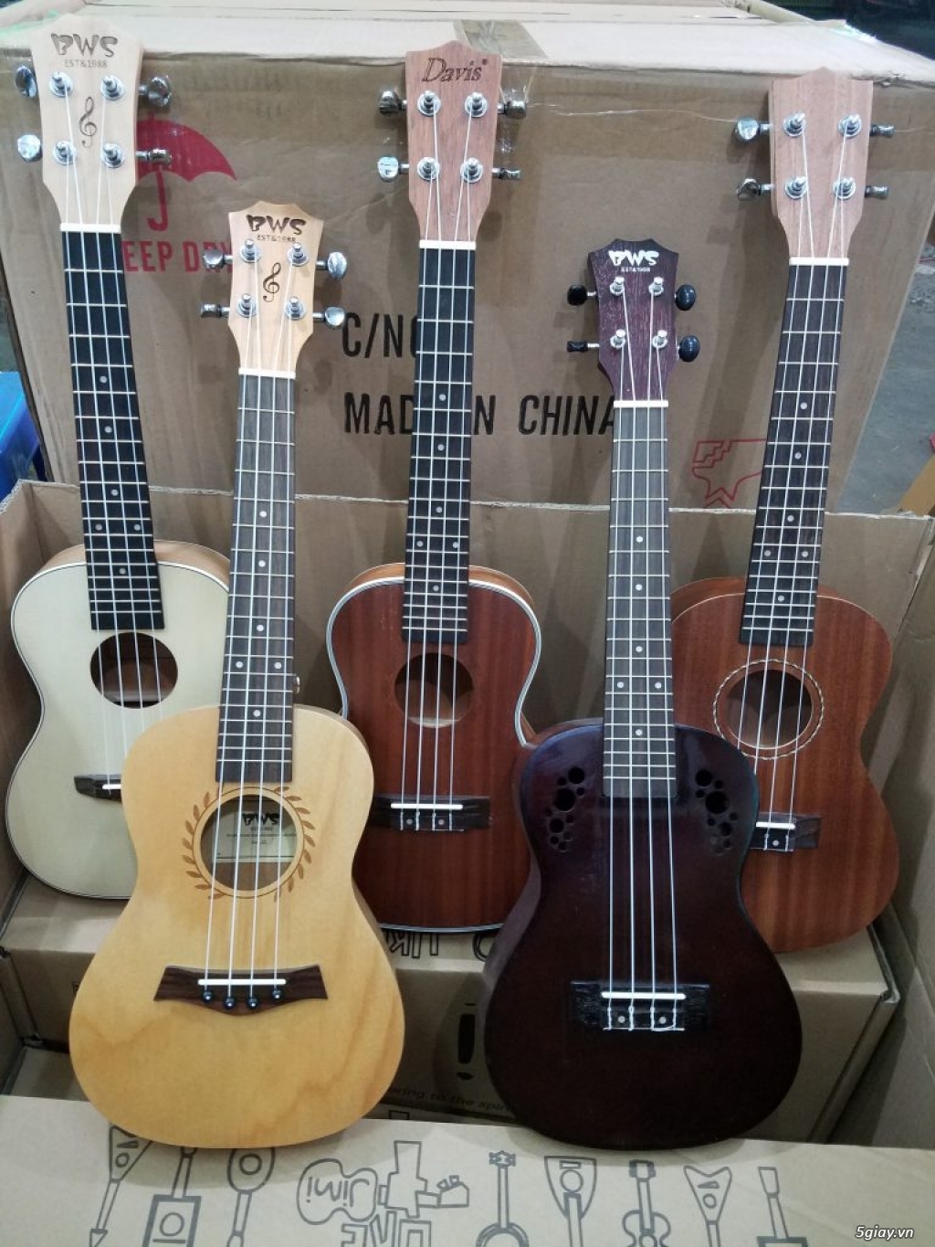 Bán đàn ukulele giá siêu rẻ tại bình dương - 6