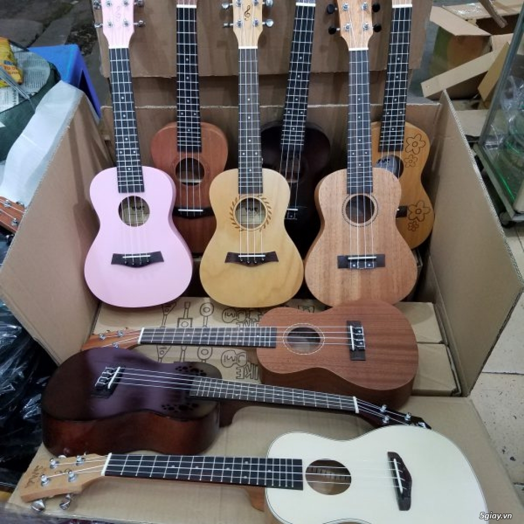 Bán đàn ukulele giá siêu rẻ tại bình dương - 12