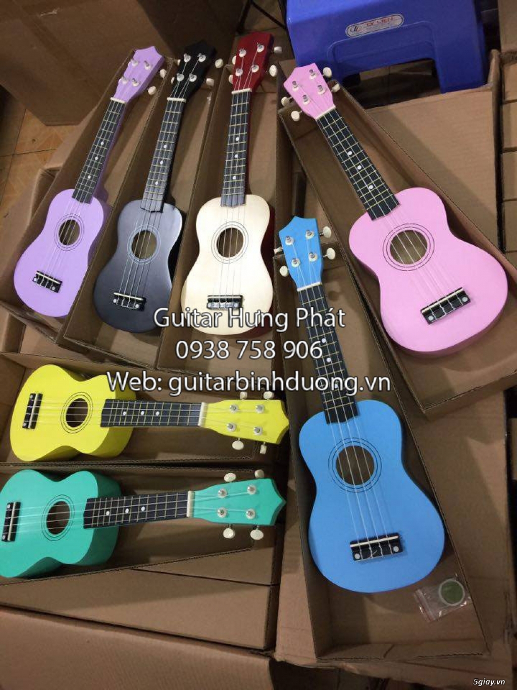 Bán đàn ukulele giá siêu rẻ tại bình dương