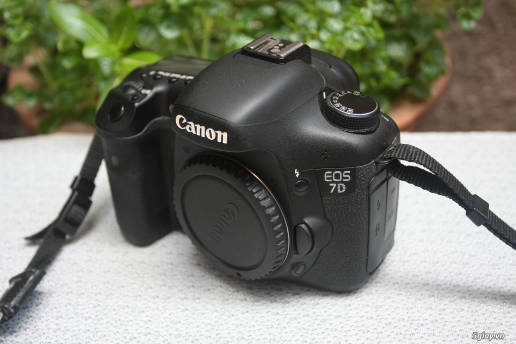 Cần bán bộ Canon 40D, 7D, 70-200mm F/4L, 17-40mm F/4L, 50mm F/1.4...