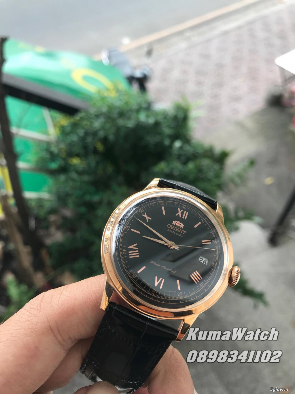 [KumaWatch] <Orient> Bambino Gen 2.3.4, Mako 2.3, Sunmoon, Open Heart - 8