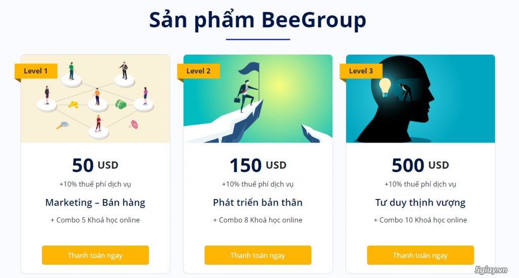 Bee Group - Học và thực hành ngay Marketing Online - Sales