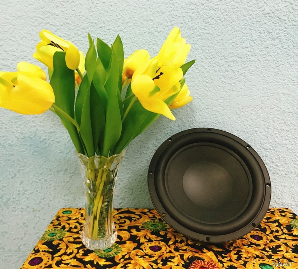 Loa BOSE - Celestion - Harman Kardon - Pioneer Wide Range - 10