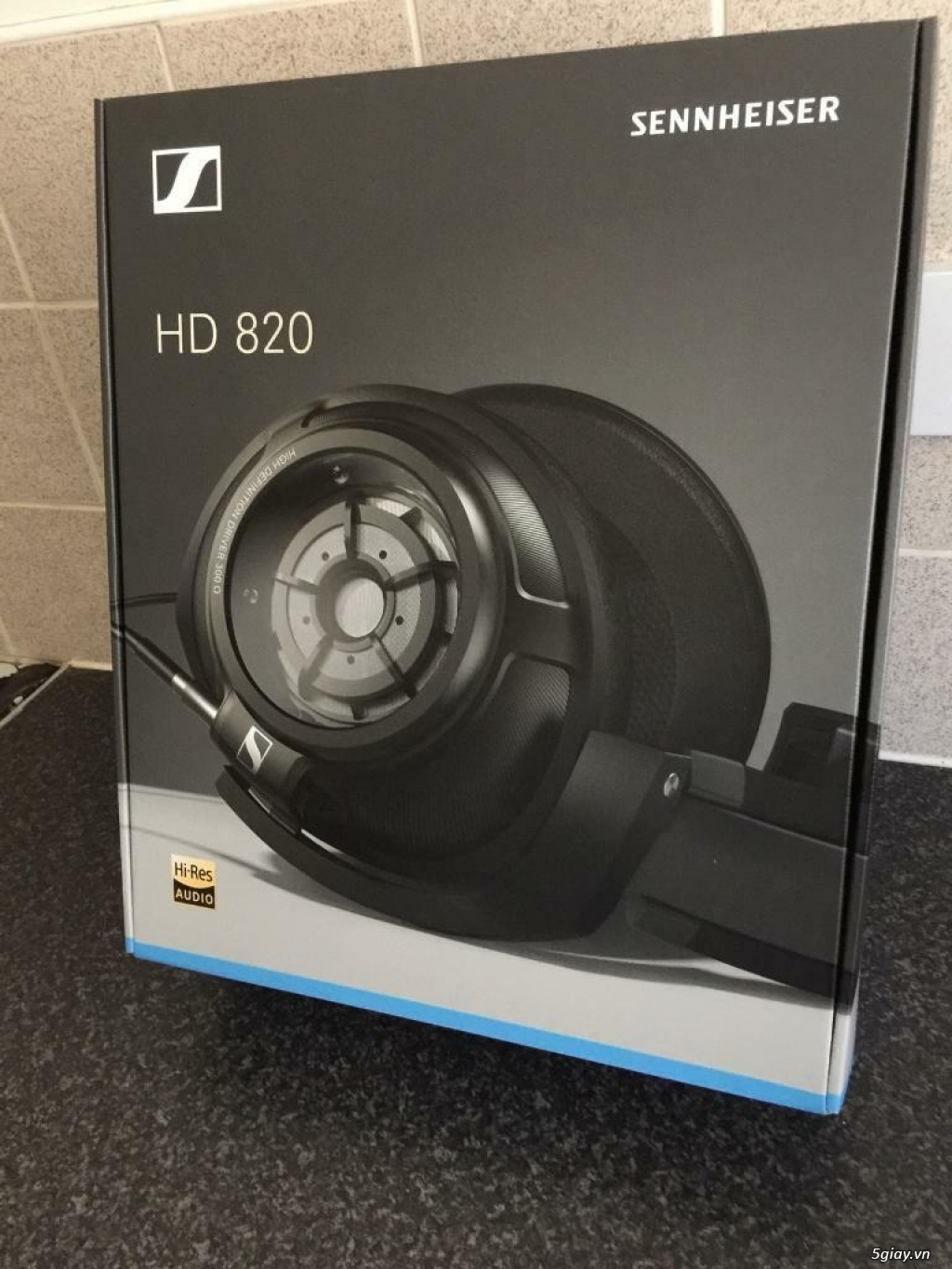 Tai nghe Flagship Sennheiser HD820 - 2